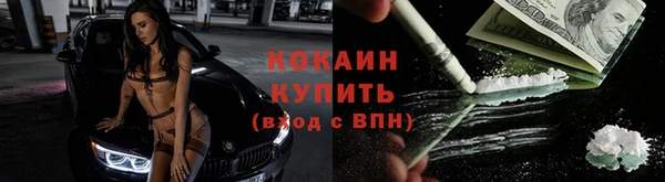 крисы Белокуриха