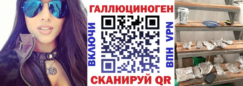 Галлюциногенные грибы Psilocybine cubensis  наркошоп  Электрогорск 